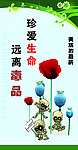 远离毒品