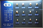 贝壳标本 宝螺
