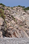 花岙岛风光