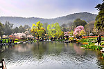 太子湾美景
