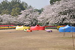 太子湾公园彩色巨鞋