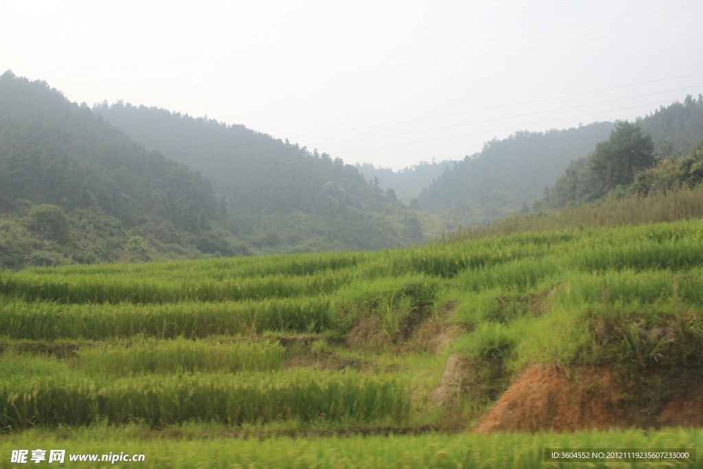 大山里 梯田