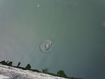 水面