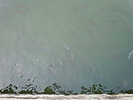 水面