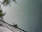 水面