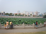 放生池