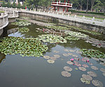 厦门放生池