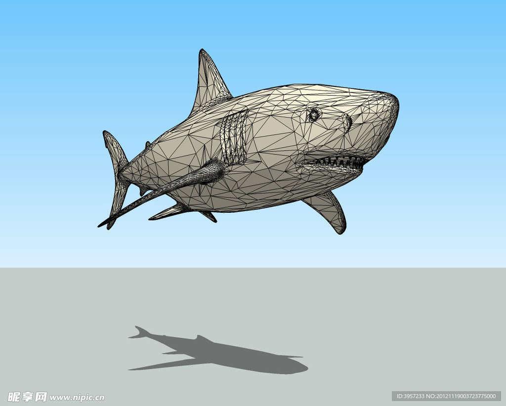 大鲨鱼3D模型