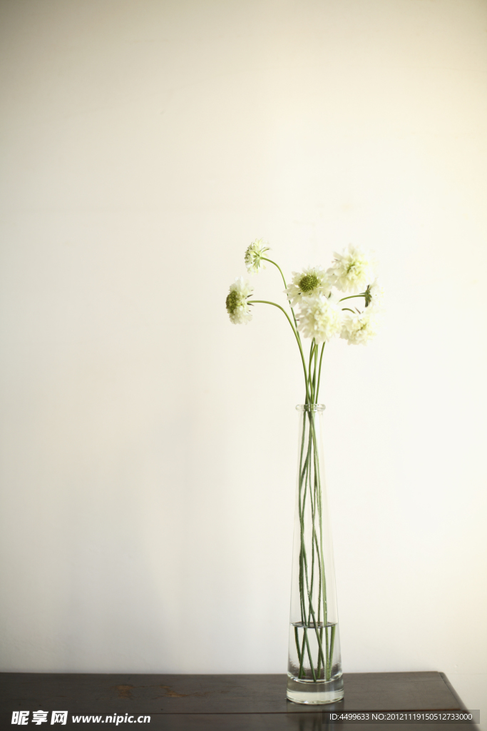 插花