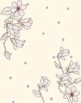 玉兰花纹