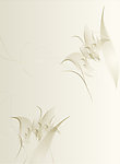 抽象花纹