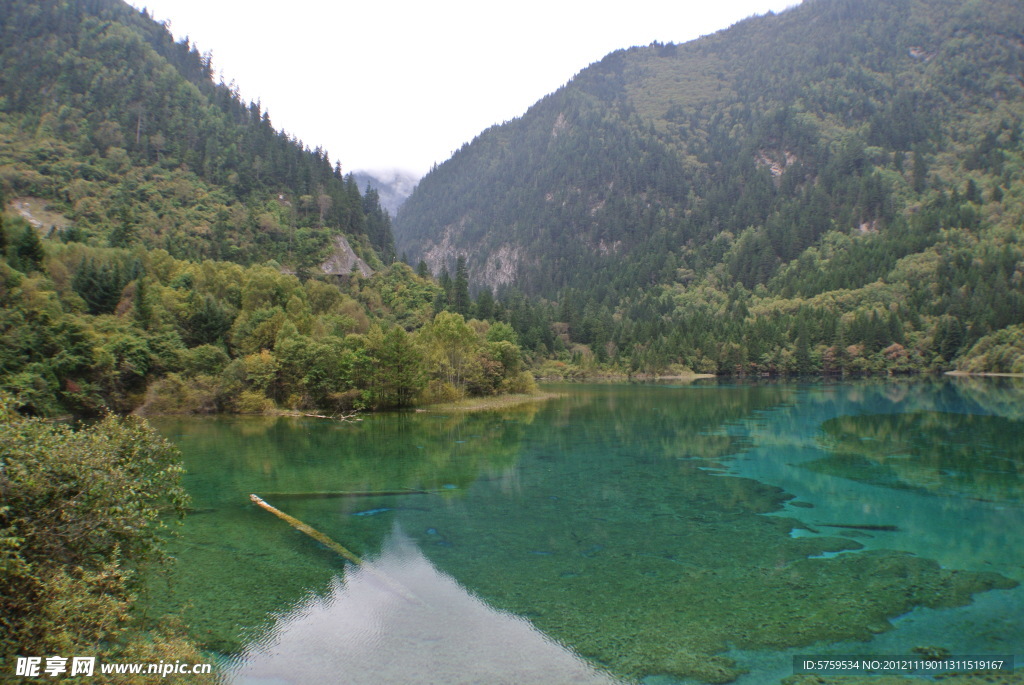 绿水青山