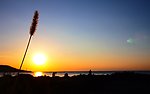 夕阳