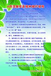 A群流脑疫苗