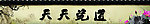 天天瓷道