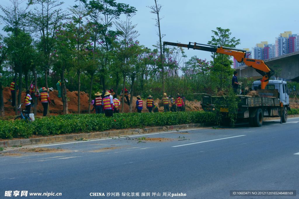 交通建设 道路绿化