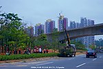 交通建设 道路绿化