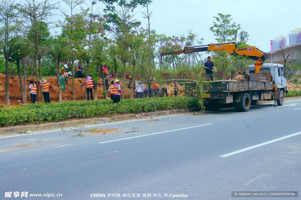 交通建设 道路绿化