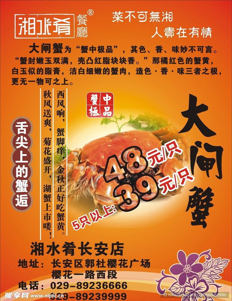 大闸蟹海报