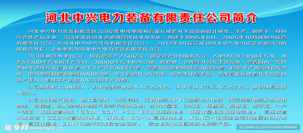 公司简介
