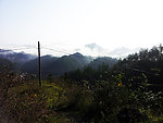 凤岗风景