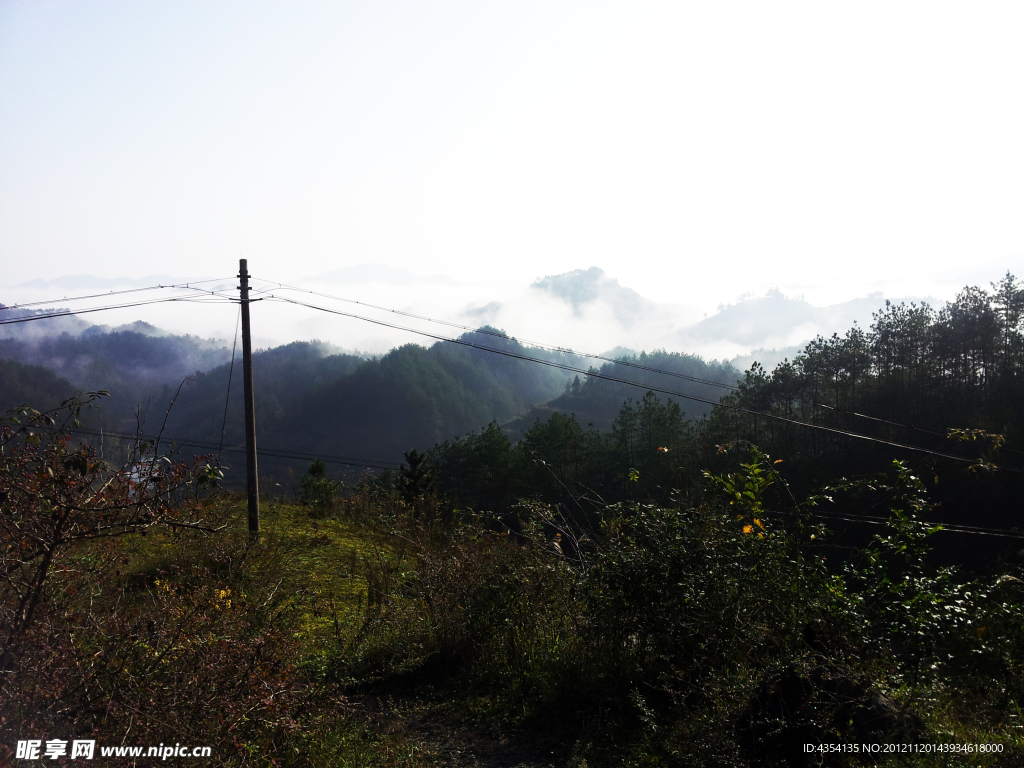 凤岗风景