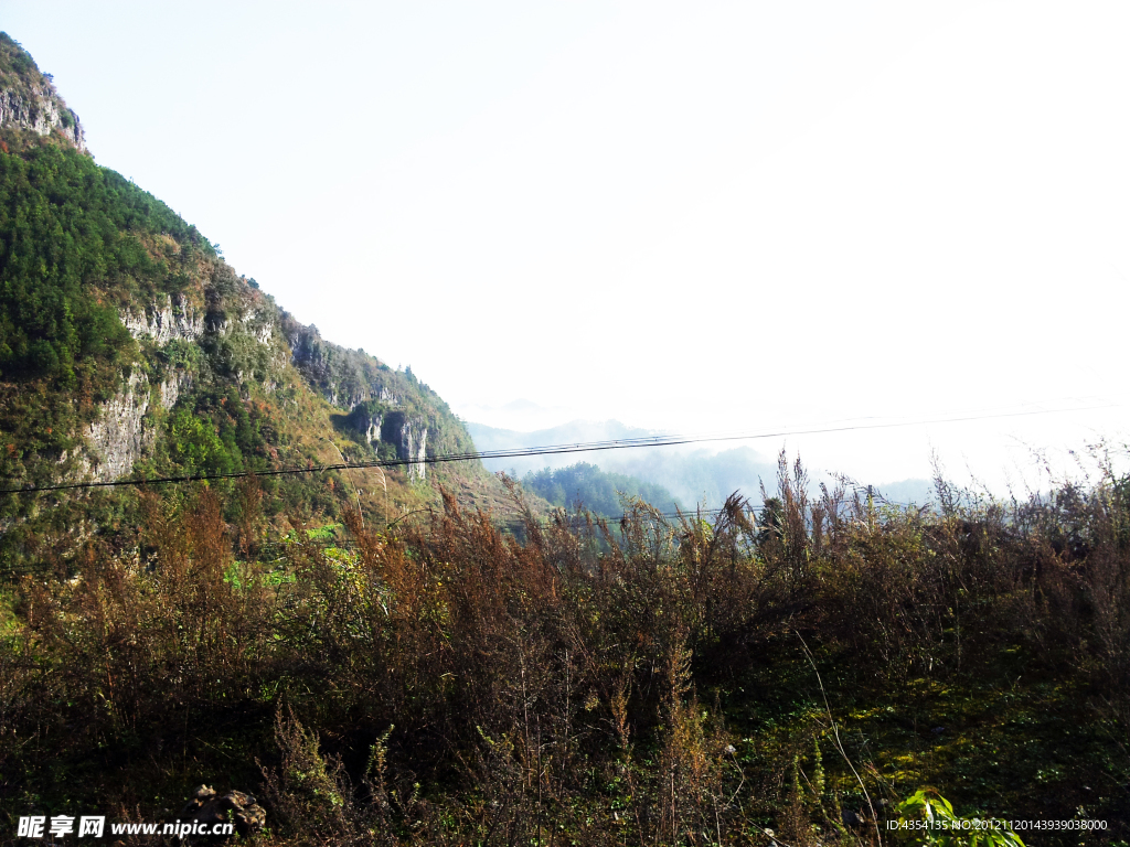 凤岗风景