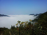 凤岗风景