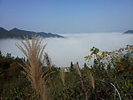 凤岗风景
