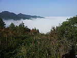 凤岗风景