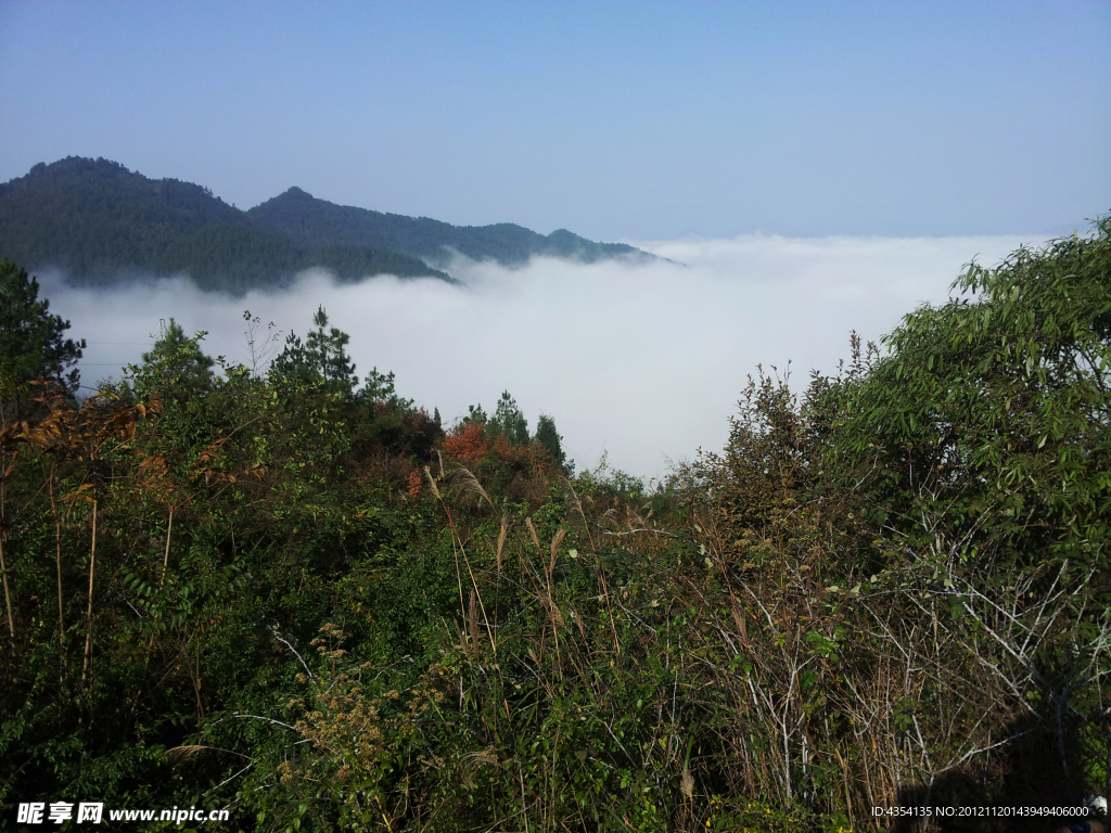 凤岗风景