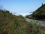 凤岗风景