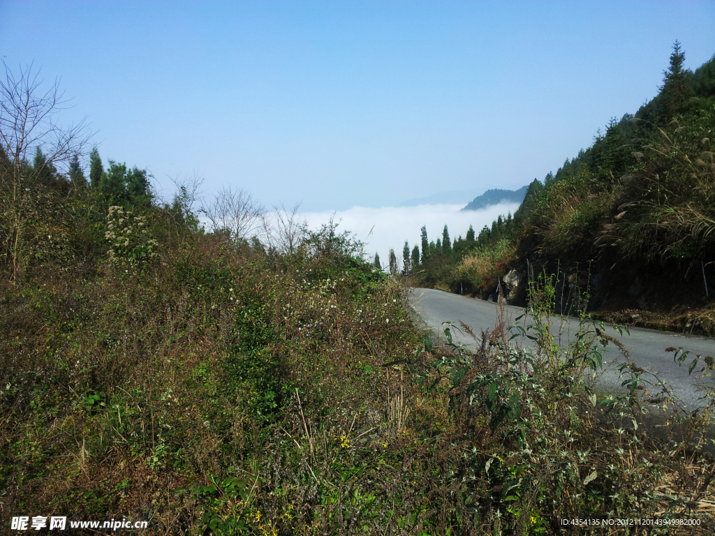 凤岗风景