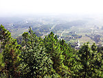 凤岗风景