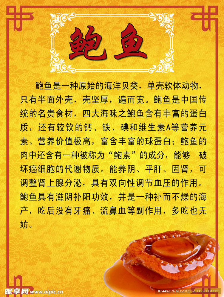 鲍鱼