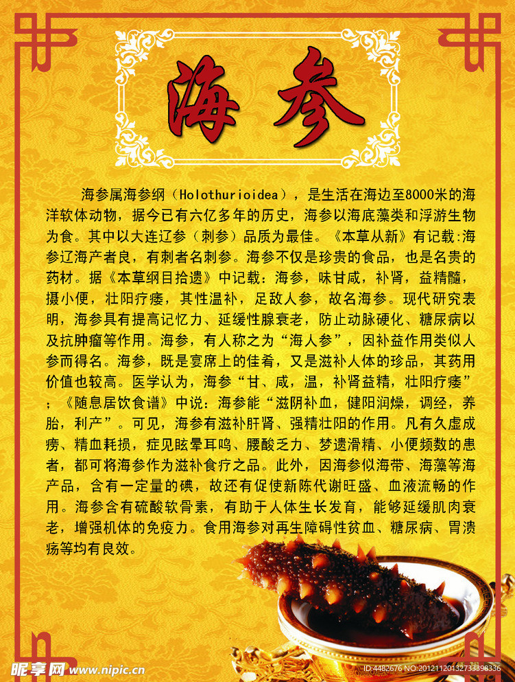 海参简介