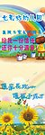 彩虹 幼儿园 向日葵 海报
