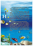 海洋的文化