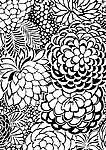 花纹