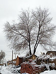 雪景