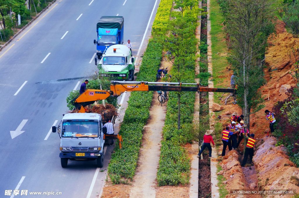 交通建设 道路绿化