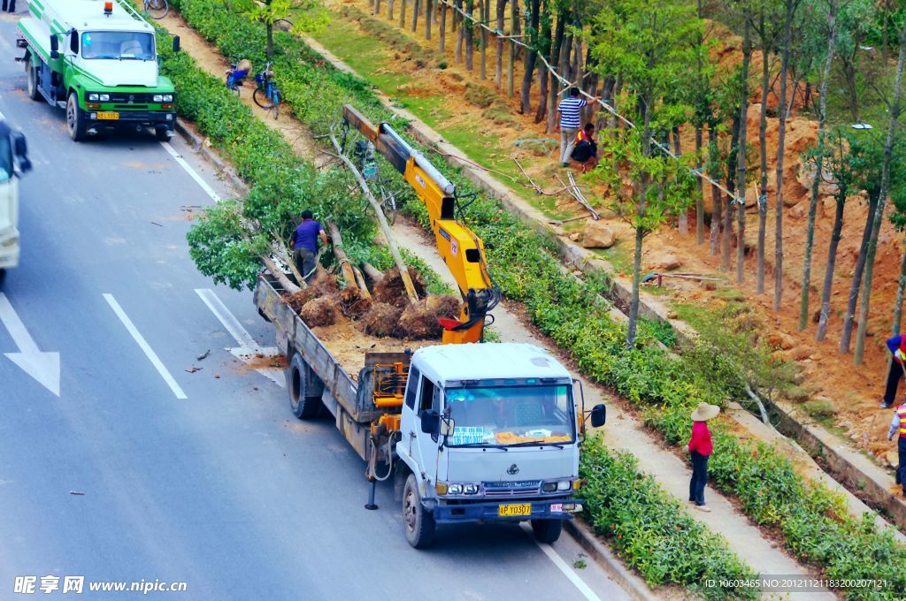交通建设 道路绿化