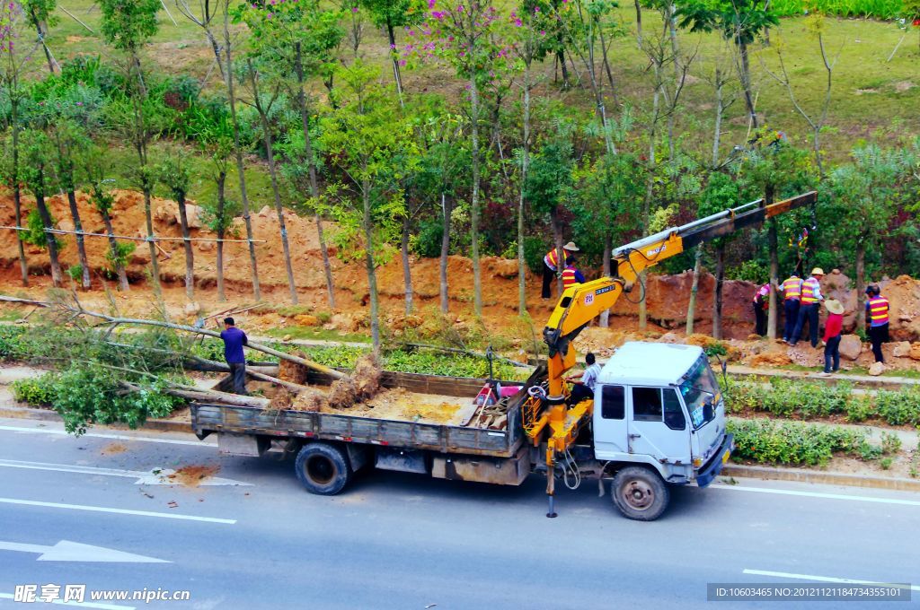 交通建设 绿化工程