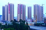 楼房纵立 柱柱如桩