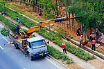 交通建设 城市绿化