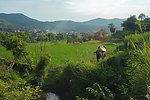 小山村