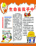 生命 安全