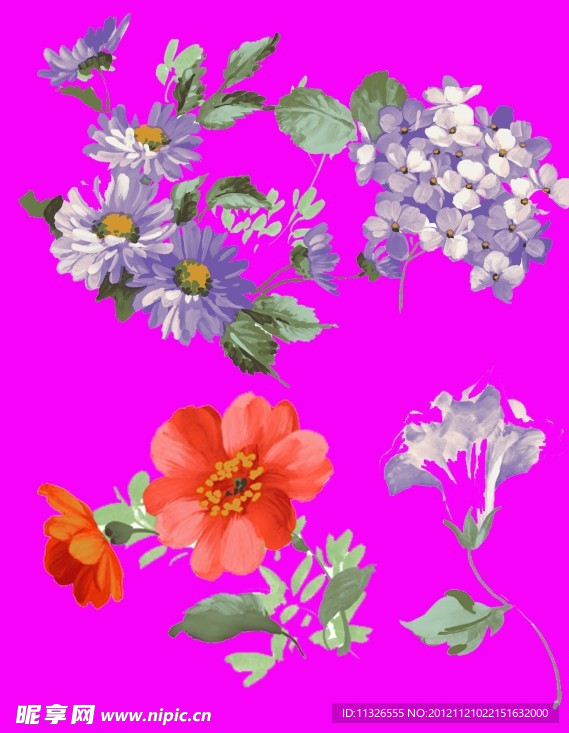 鲜花花朵叶子素材