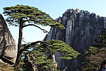 黄山风景