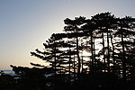 黄山风景